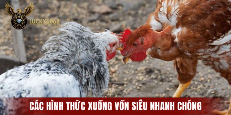 Các hình thức xuống vốn siêu nhanh chóng