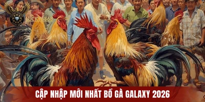 Cập nhập mới nhất bồ gà Galaxy 2026