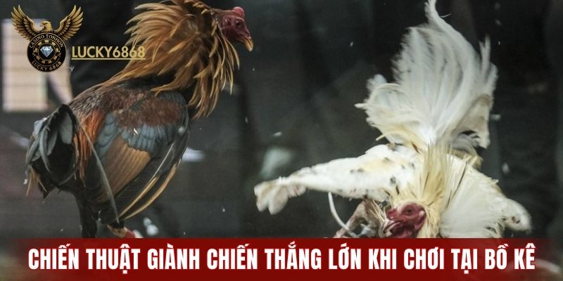 Chiến thuật giành chiến thắng lớn khi chơi tại bồ kê