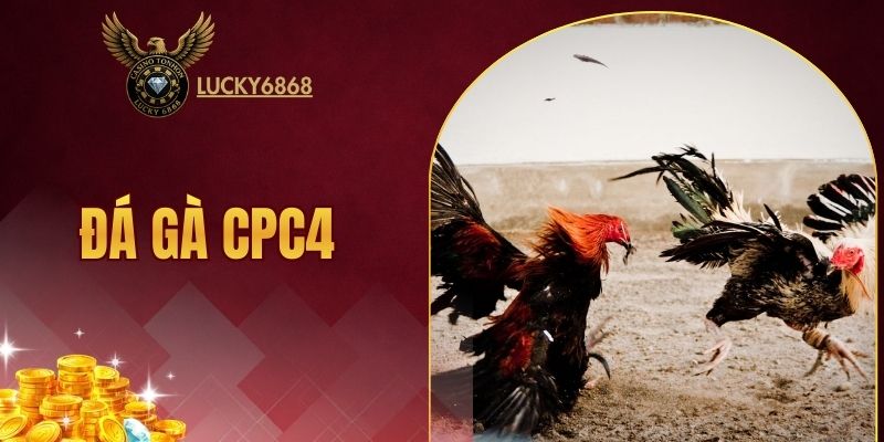 đá gà CPC4
