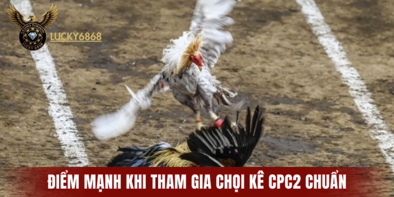 Điểm mạnh khi tham gia chọi kê CPC2 chuẩn