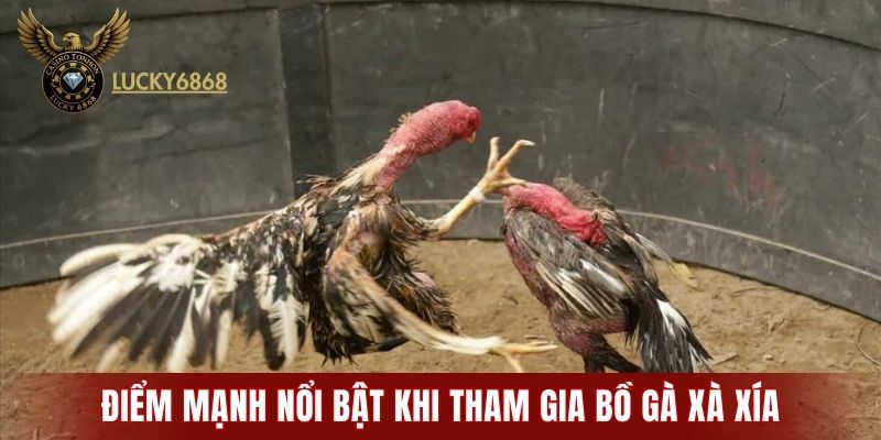 Điểm mạnh nổi bật khi tham gia bồ gà Xà Xía