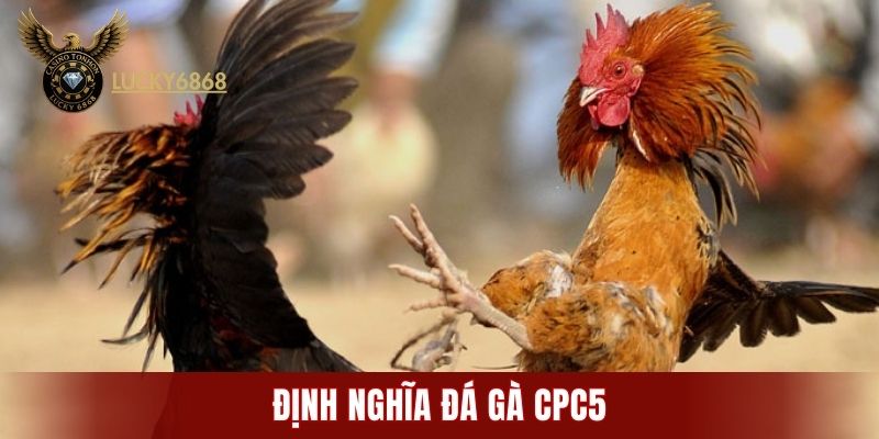 Định nghĩa đá gà CPC5