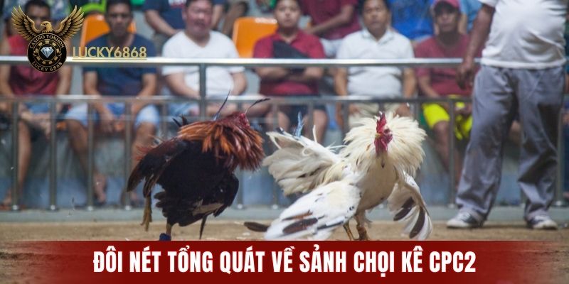 Đôi nét tổng quát về sảnh chọi kê CPC2