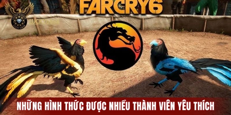 Những hình thức được nhiều thành viên yêu thích