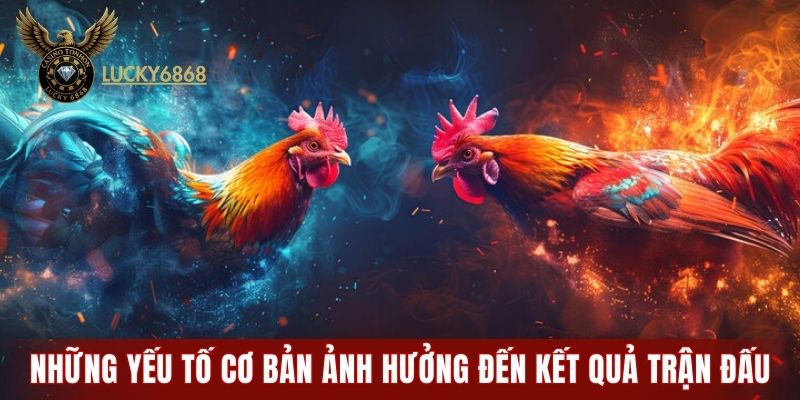 Những yếu tố cơ bản ảnh hưởng đến kết quả trận đấu