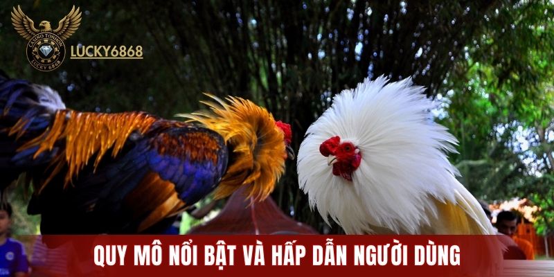 Quy mô nổi bật và hấp dẫn người dùng