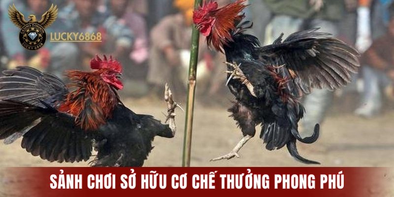 Sảnh chơi sở hữu cơ chế thưởng phong phú