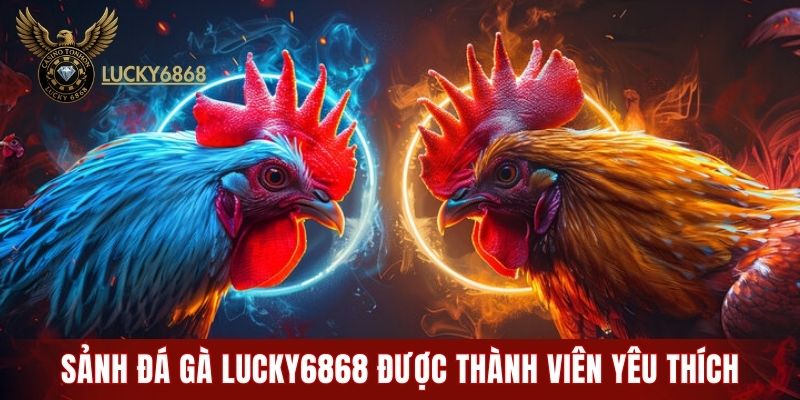 Sảnh đá gà LUCKY6868 được nhiều thành viên yêu thích