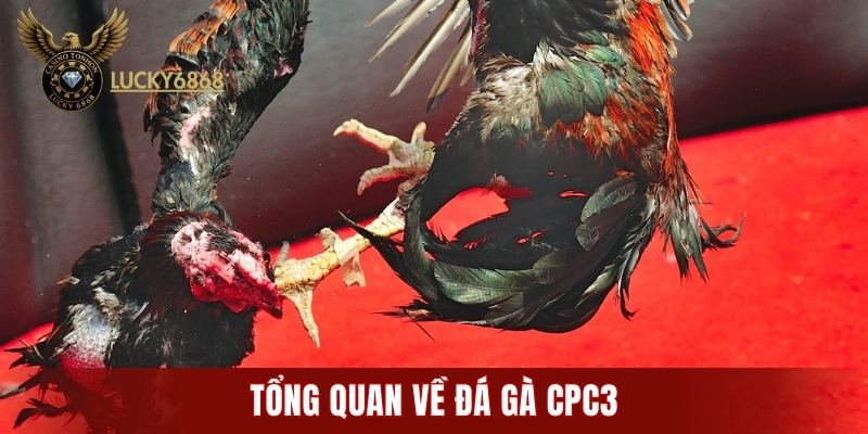 Tổng quan về đá gà CPC3
